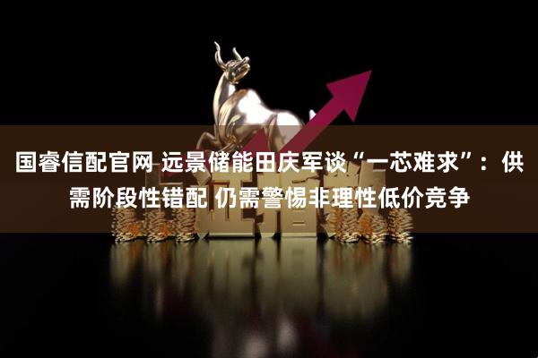 国睿信配官网 远景储能田庆军谈“一芯难求”：供需阶段性错配 仍需警惕非理性低价竞争