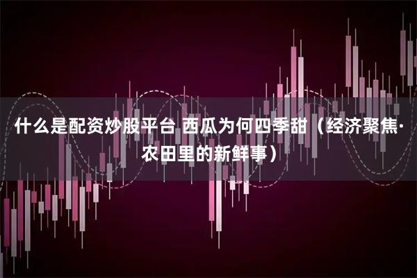 什么是配资炒股平台 西瓜为何四季甜（经济聚焦·农田里的新鲜事）
